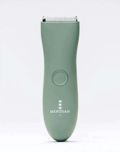 Meridian Travel Case